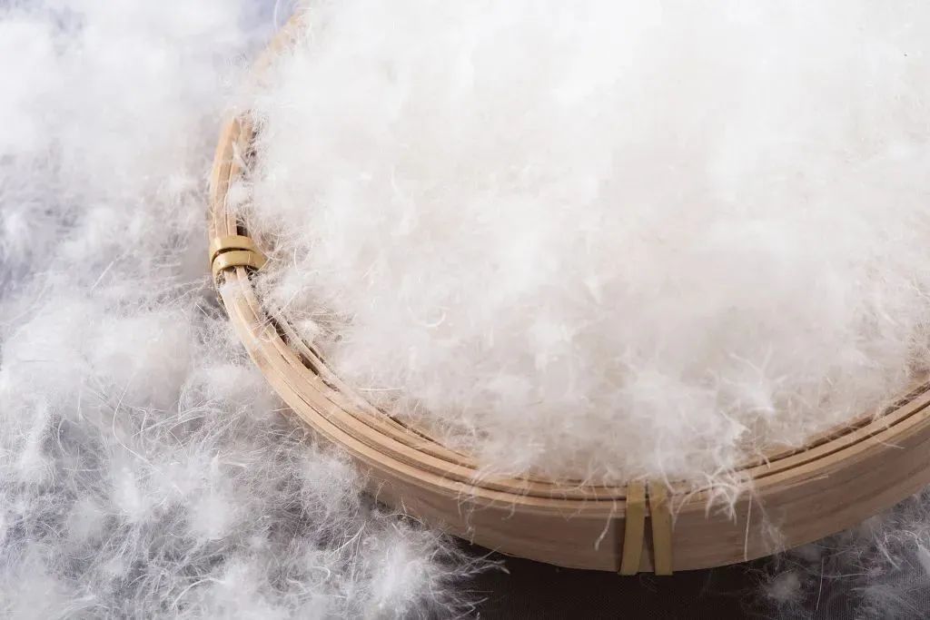 羽绒服机洗不爆炸_羽绒服机洗可能爆炸?这些年都穿错了_干洗羽绒服注意事项