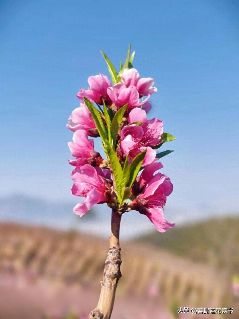 时间会验证我有多爱你