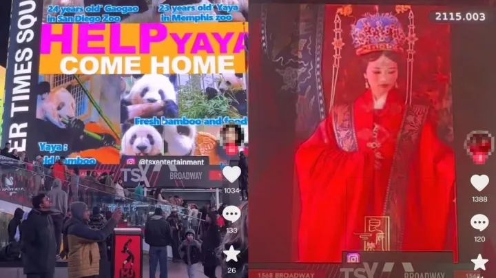 花几千元就能成为全球大新闻？买来的“洋流量”，在糊弄谁