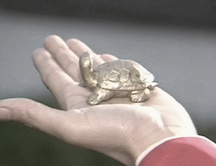 真人版少年歌行忘忧大师 游本昌 济公表演艺术家_小伙模仿济公爆火 是游本昌亲传弟子