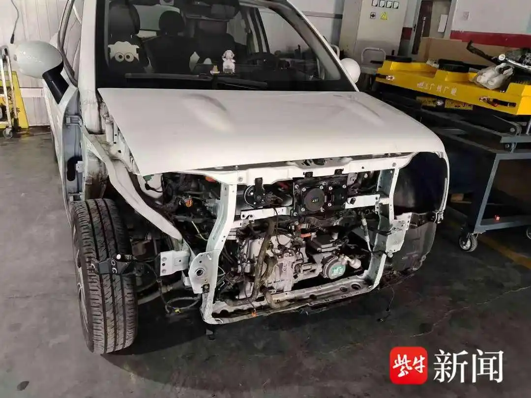 高速公路野猪撞车赔偿标准_男子时速105公里撞上横穿高速野猪群_南京机动车撞野猪事故责任认定