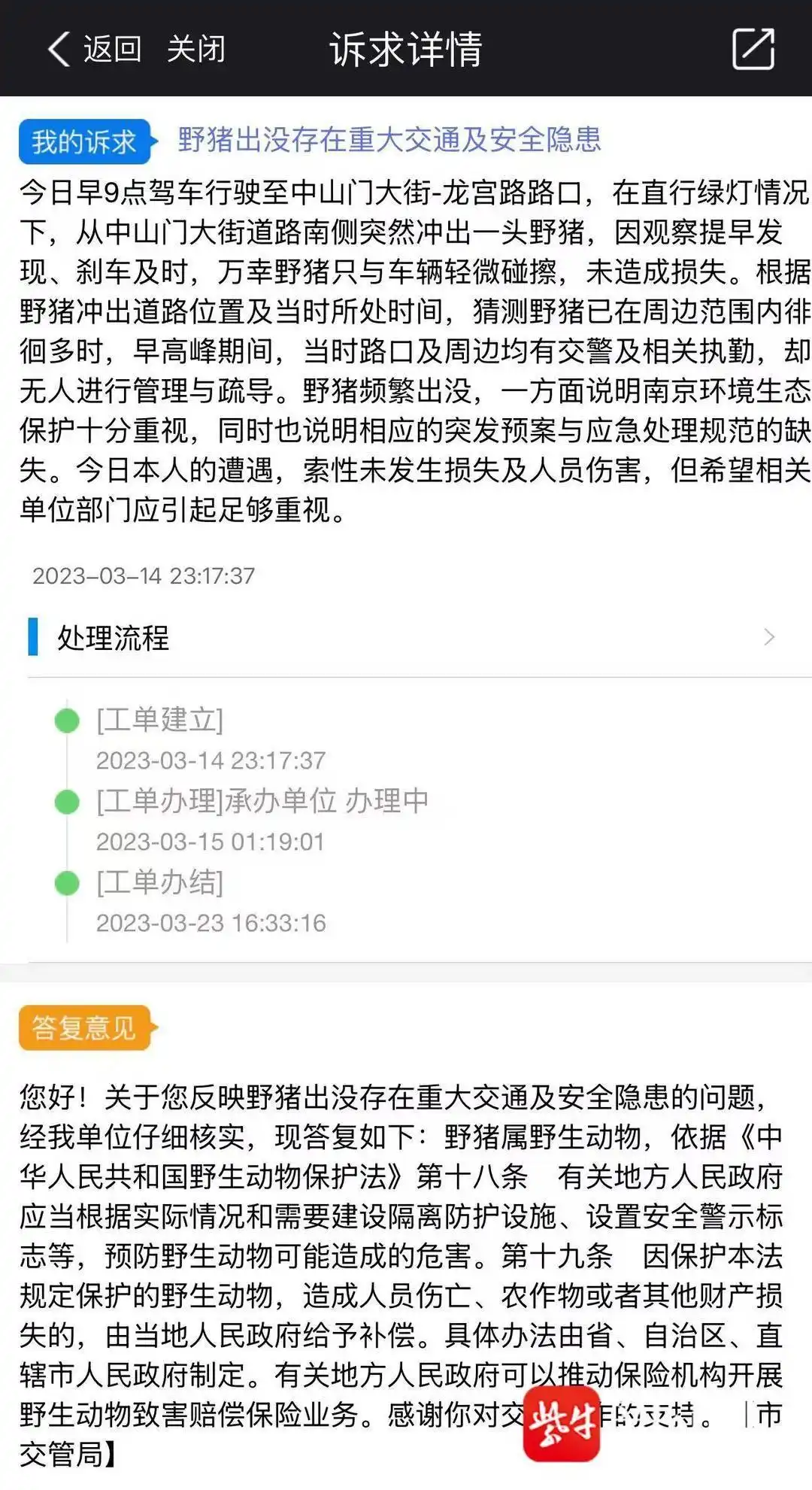 高速公路野猪撞车赔偿标准_男子时速105公里撞上横穿高速野猪群_南京机动车撞野猪事故责任认定