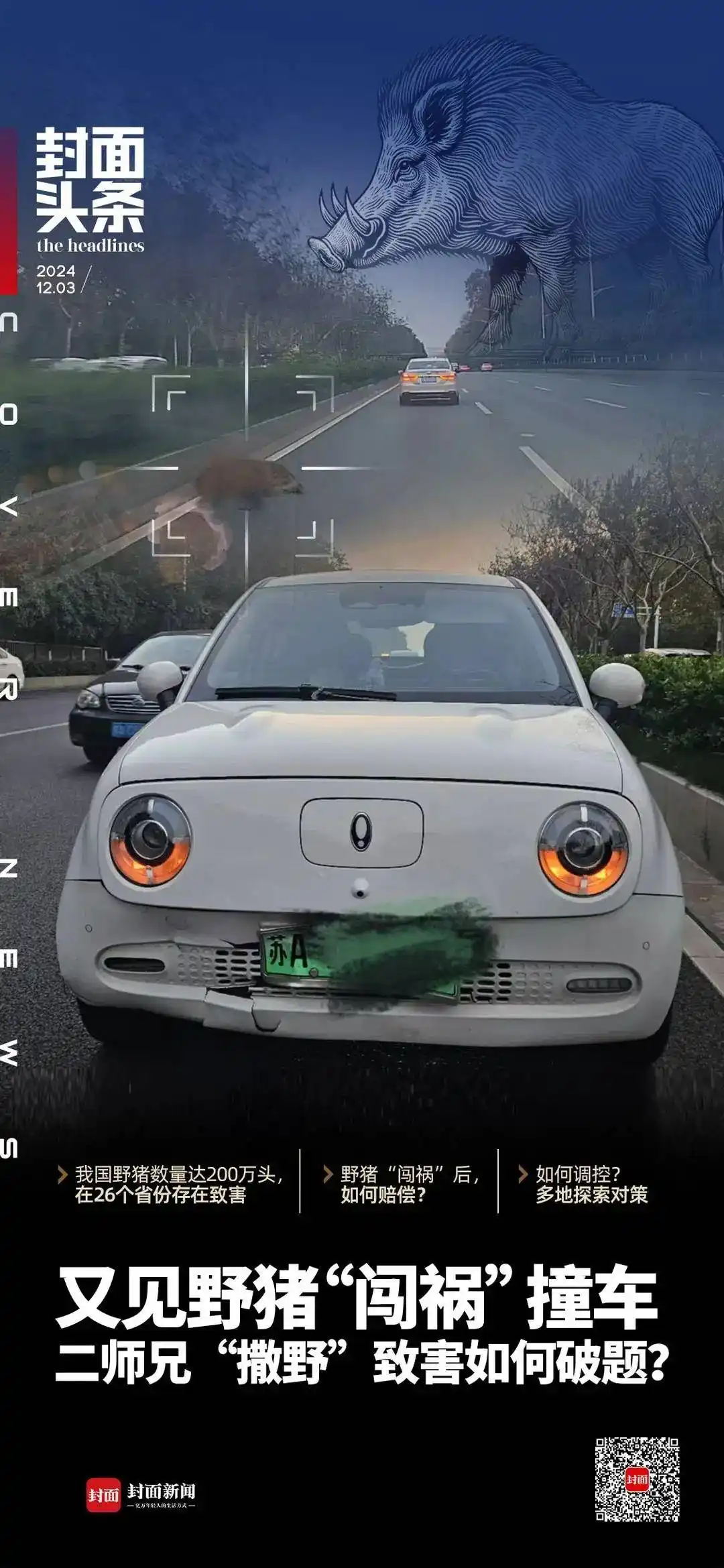 频频“闯祸”上热搜，野猪“撒野”怎么办？