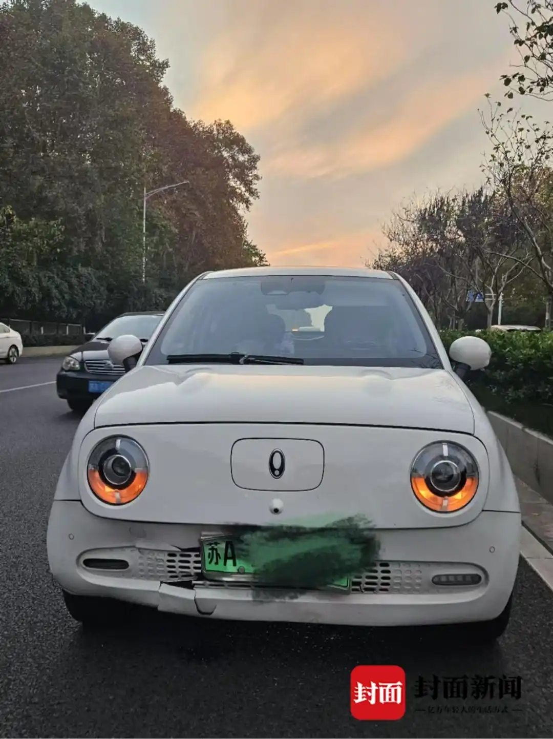 野猪撞车赔偿标准_南京市野猪伤人如何处理_男子时速105公里撞上横穿高速野猪群