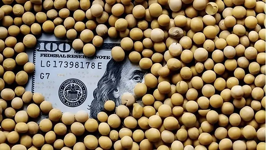 中国大豆产业战略布局_中国近半年没买过美国一粒大豆_中国购买巴西大豆