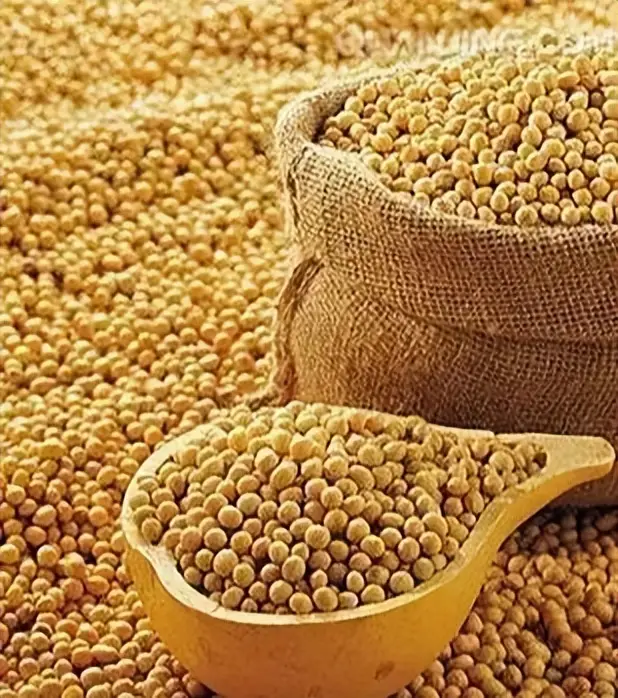 中国购买巴西大豆_中国大豆产业战略布局_中国近半年没买过美国一粒大豆