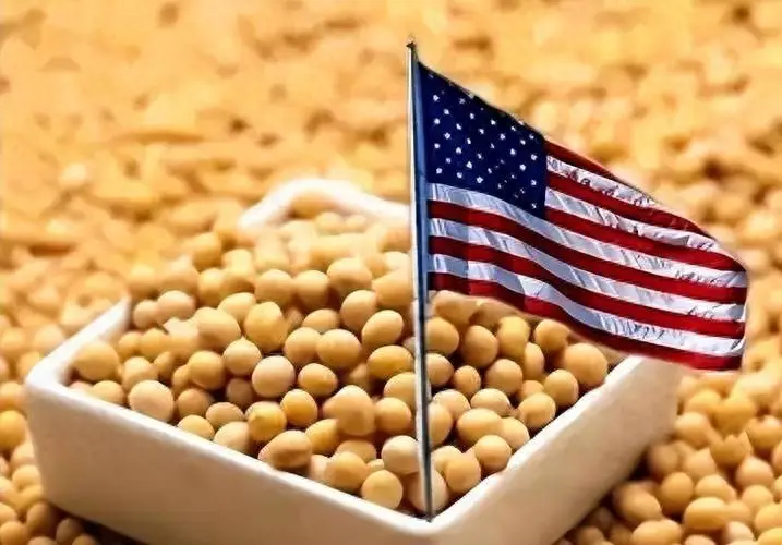中国近半年没买过美国一粒大豆_中国购买巴西大豆_中国大豆产业战略布局