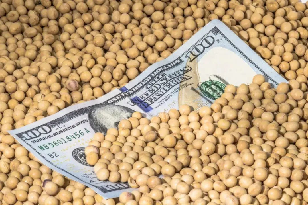 中国大豆进口南美地区分析_美国大豆出口中国市场下降_中国近半年没买过美国一粒大豆