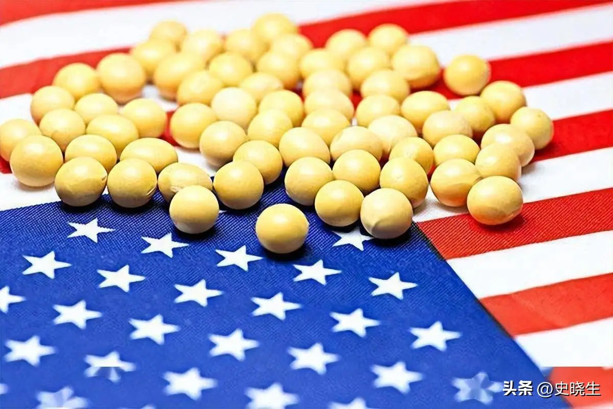 中国近半年没买过美国一粒大豆_美国大豆滞销困境_阿根廷取消谷物出口关税