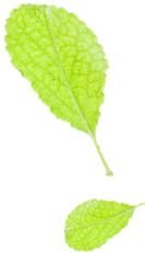 老来网认证操作手册_南宁智慧人社APP养老金认证_南宁企业职工养老保险待遇资格认证