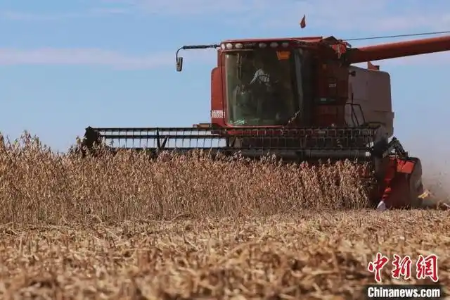 中美大豆贸易历史演变_美国大豆进口中国趋势变化_中国近半年没买过美国一粒大豆