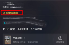 淘宝商品怎么入驻抖音