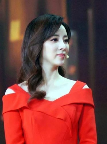东北美女央视主持人_cctv晚间新闻档目女主持人姓名_央视东北女主持人名单
