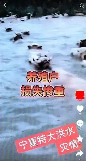 防汛抗灾造谣处罚_净网:多人发布虚假天气信息被罚_发布不实信息网警处理