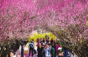 返程大军遭遇南北气温差 毛衣换短袖_长沙气温大反转_长沙穿衣指南