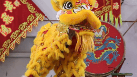 粤港澳大湾区的岭南文化传承_粤港澳大湾区的文化交融发展_全运热潮席卷粤港澳三地