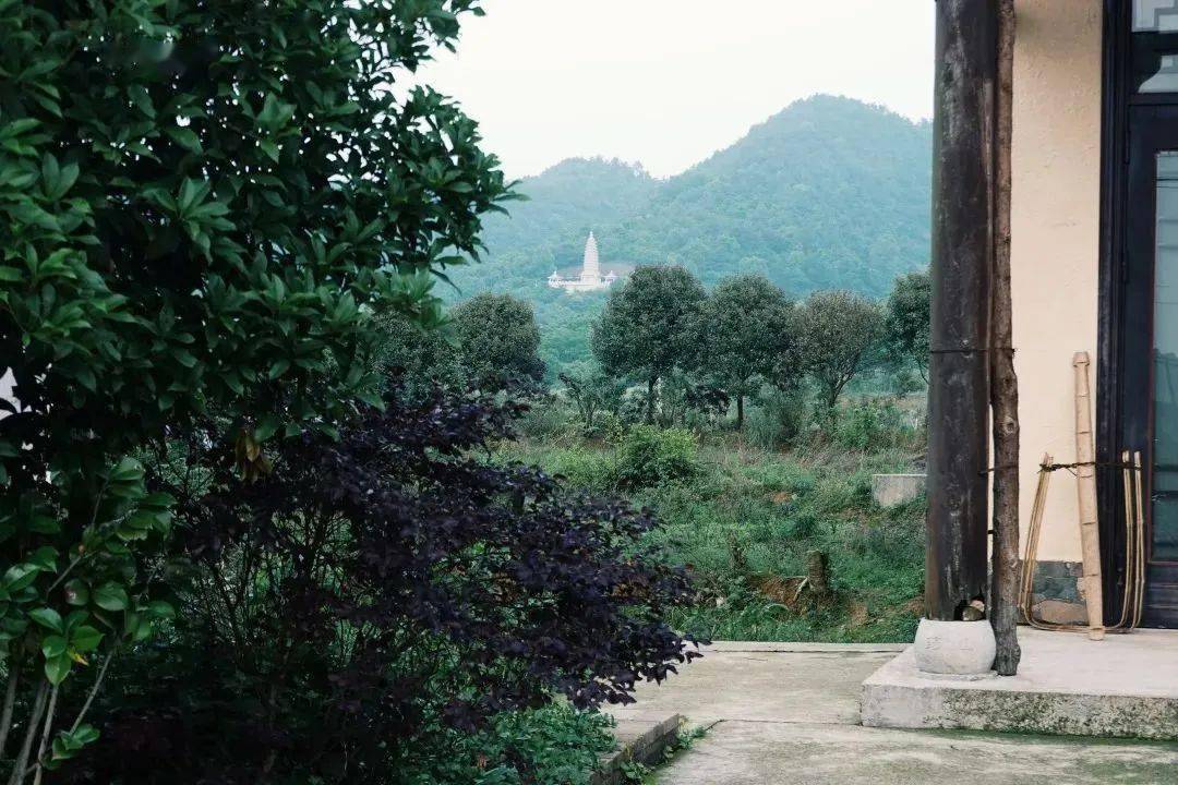 幻影修心_禅修中的调心_心的本质探讨