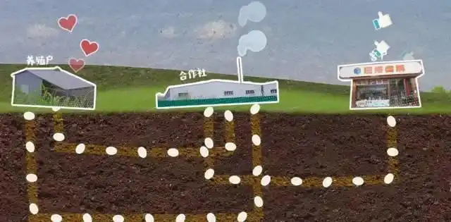 汕头澄海狮头鹅产业_澄海狮头鹅文化节_全运会开幕式有“广东特产”狮头鹅