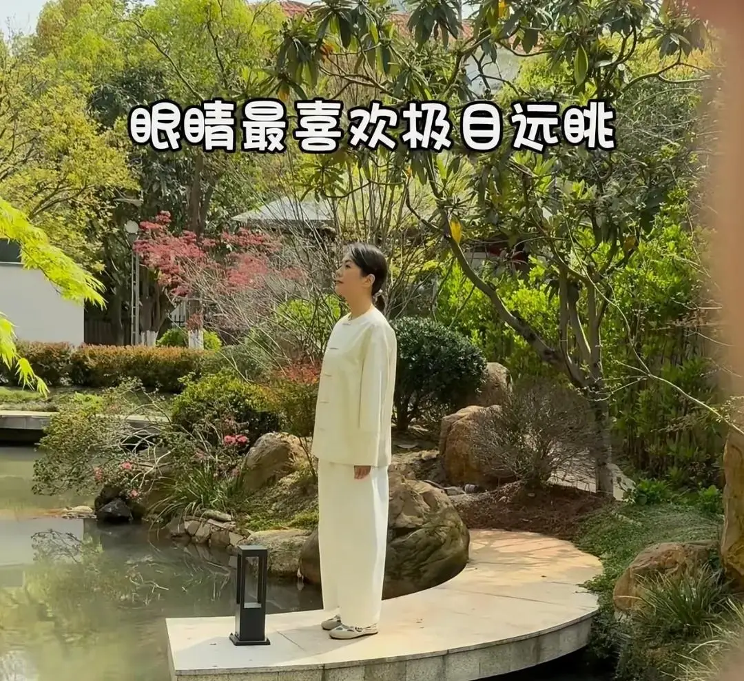 杨乐乐复出之路_杨乐乐回应独自手术汪涵未陪同_杨乐乐汪涵中式庭院