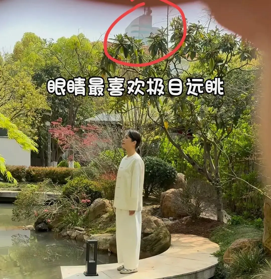 杨乐乐汪涵中式庭院_杨乐乐回应独自手术汪涵未陪同_杨乐乐复出之路