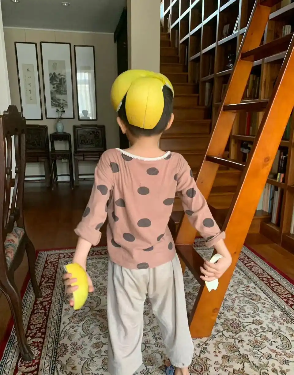 杨乐乐回应独自手术汪涵未陪同_杨乐乐工作室解散_杨乐乐嫁给汪涵后生活