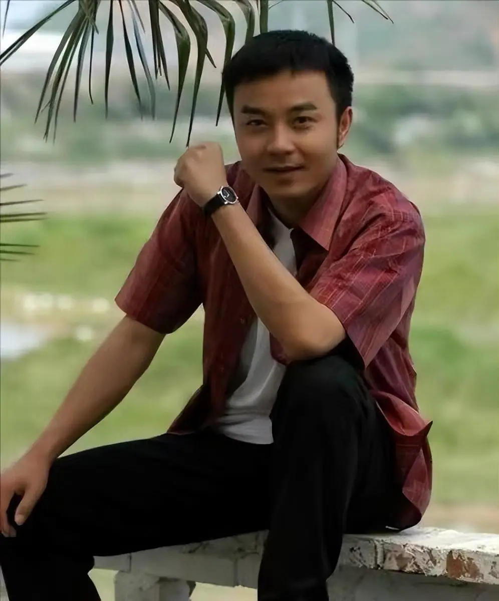 杨乐乐回应独自手术汪涵未陪同_杨乐乐主持生涯发展历程_杨乐乐汪涵婚姻经历