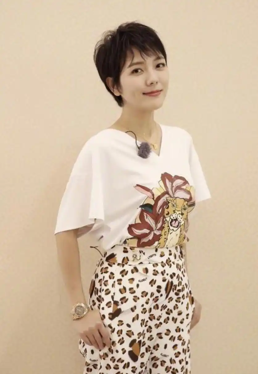 杨乐乐股东变更纠纷_杨乐乐回应独自手术汪涵未陪同_汪涵妻子杨乐乐强制执行十几万