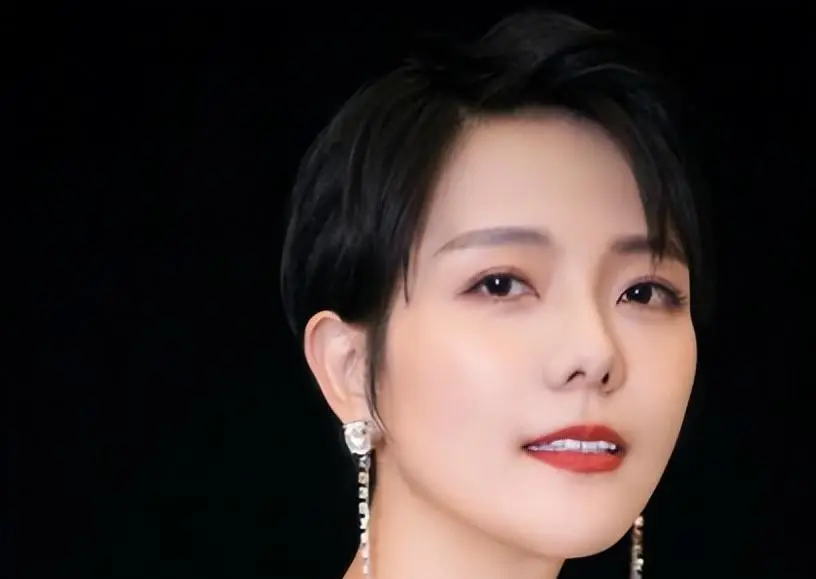 杨乐乐回应独自手术汪涵未陪同_杨乐乐 汪涵 全职太太后悔