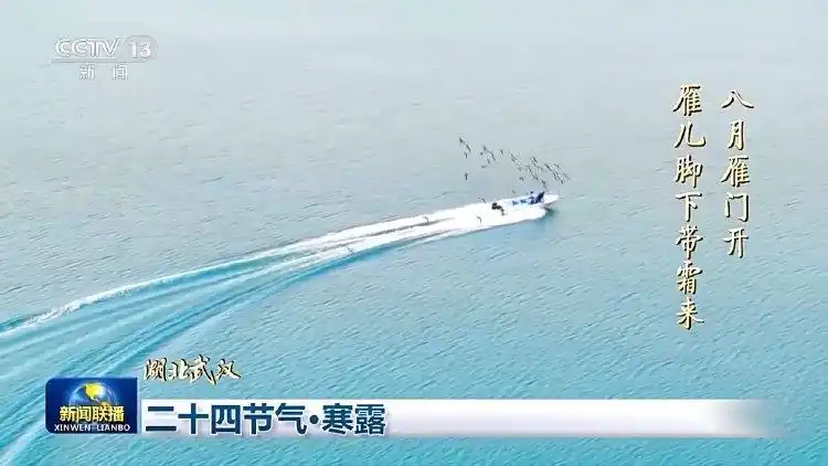 寒露过后建议“洋葱穿衣法”_寒露节气天气预报_寒露节气来历