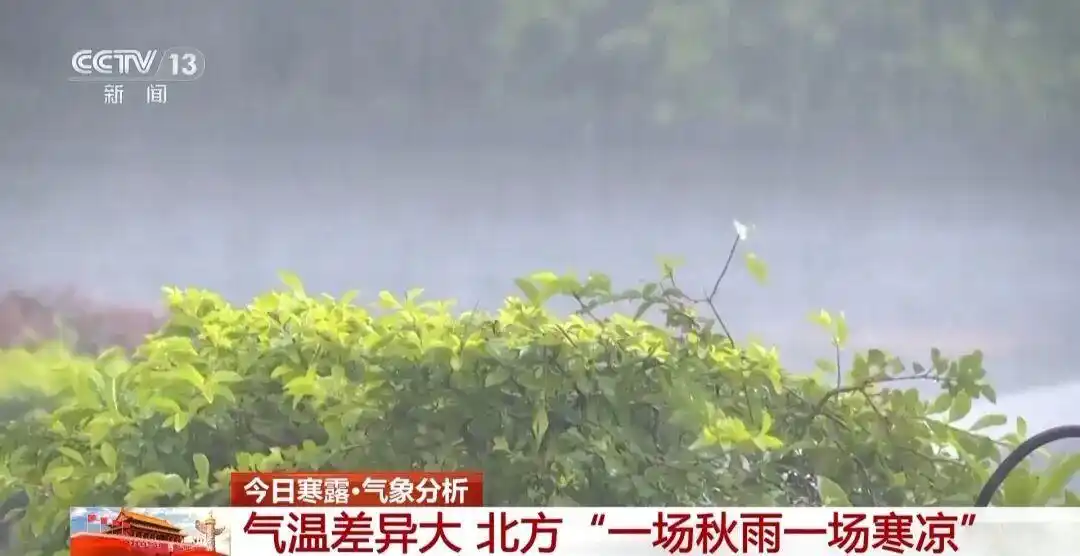 寒露过后建议“洋葱穿衣法”_寒露节气北方大幅降温暴雨天气_返程复工天气影响