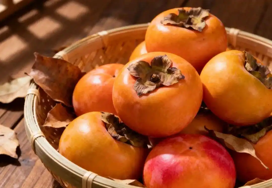 寒露节气养生注意事项_寒露过后建议“洋葱穿衣法”_秋冻的正确做法和禁忌部位