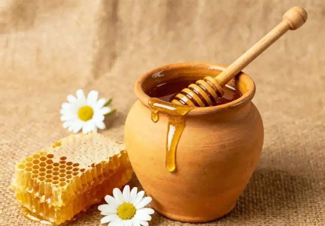 寒露过后建议“洋葱穿衣法”_寒露节气养生注意事项_秋冻的正确做法和禁忌部位