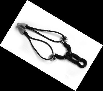 发现两个东河边弹弓打鸟的男人高度怀疑此前钢珠弹就是这批人打的