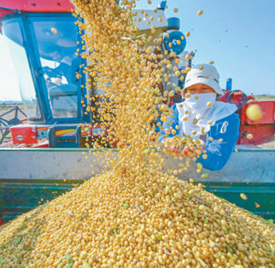最近国家大事新闻100字_十四届全国人大一次会议选举产生新一届国家领导人_2023年国内十大新闻