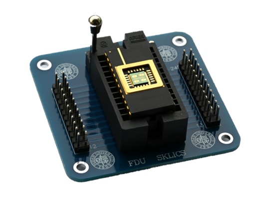 长缨架构芯片_二维超快闪存器件_全球首颗!中国研发全新架构闪存芯片