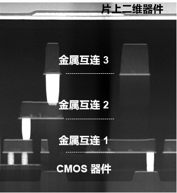 二维超快闪存器件_全球首颗!中国研发全新架构闪存芯片_长缨架构芯片
