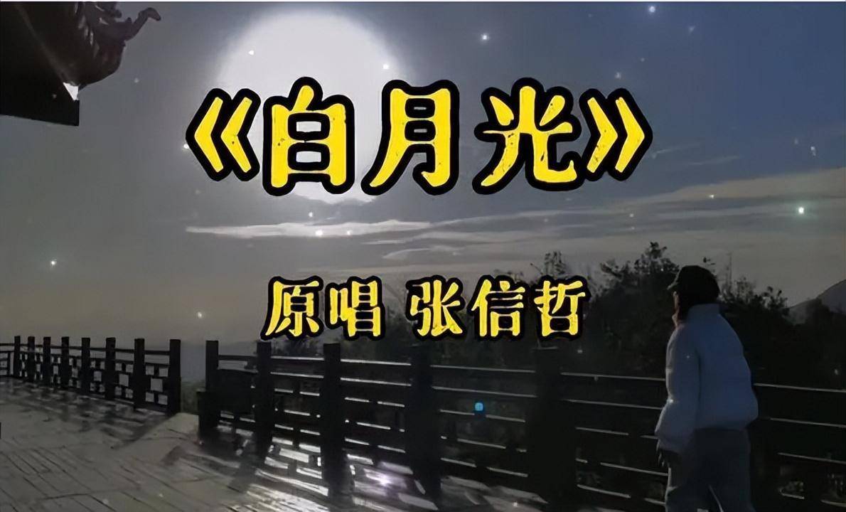 谢丽金喜欢张信哲_张信哲 初恋故事_张信哲 未婚原因