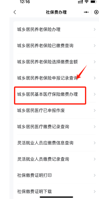 2024年北京城乡居民医疗保险缴费入口