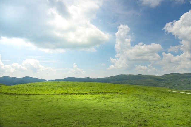 泄露严重个人信息有什么后果_泄露严重个人信息有哪些危害_个人信息泄露有多严重