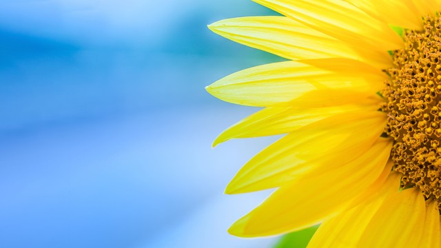 个人信息泄露有多严重_泄露严重个人信息有什么后果_泄露严重个人信息有哪些危害