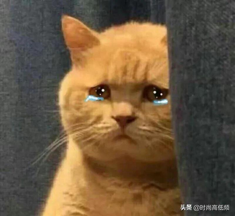 网红店套路深_时尚服装店_网红服装店质量差