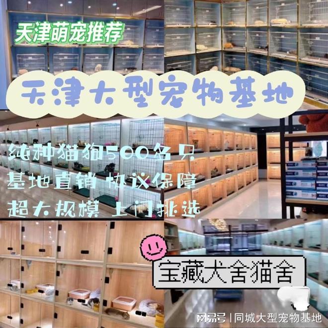 天津目前哪里有狗市猫市？这里可以线下实体店挑选宠物！靠谱安全