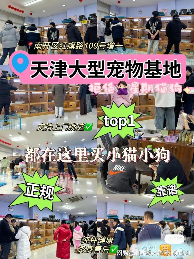 天津有没有专门卖猫狗的地方？这里专业、实体店可亲自挑选宠物！