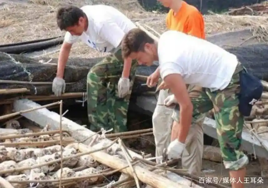 吴京战狼肌肉图片大全_吴京 成功秘诀_吴京 隐藏天赋