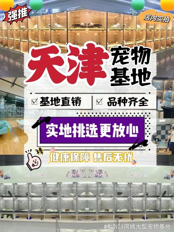 天津买宠物到哪里买？这里安全可靠还能实地选宠物不虚此行