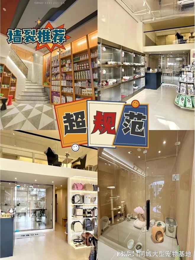 天津宠物店推荐_天津比熊_天津来福乐猫犬舍北辰店