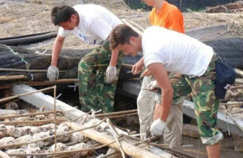 吴京成长经历_吴京战狼肌肉图片大全_吴京为戏拼命的狠