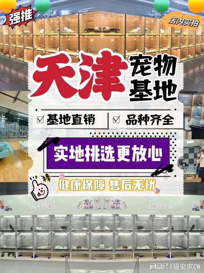 天津买宠物到哪里买（天津）大型宠物基地欢迎您！