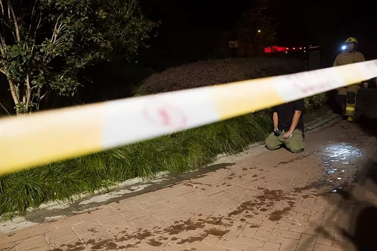 四川卫视女主持人佟瑶去世原因调查_四川播音员佟瑶裸尸图_佟瑶 失踪事件详细情况