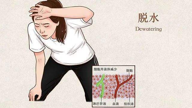 脱水对身体的影响_健康饮水习惯_人不喝水会死吗